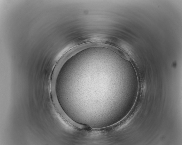 X0000089361034200706221156
