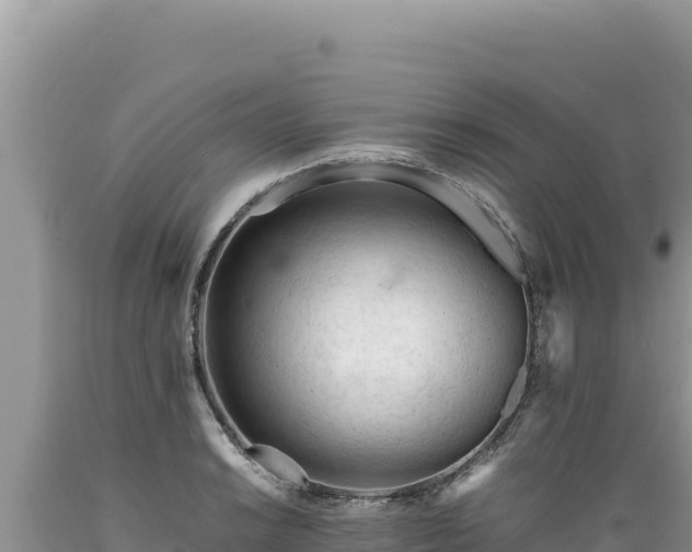X0000089361038200706221156