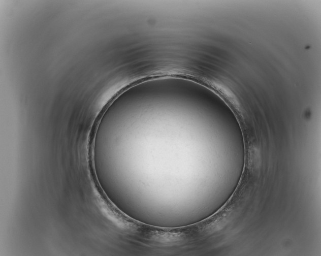 X0000089361039200706221156