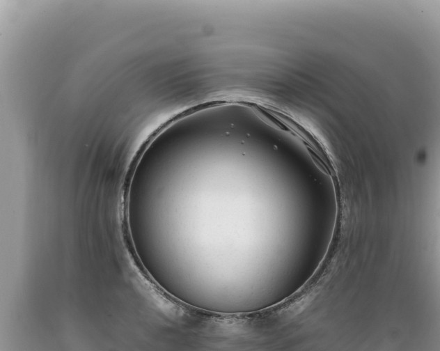 X0000089361040200706221156