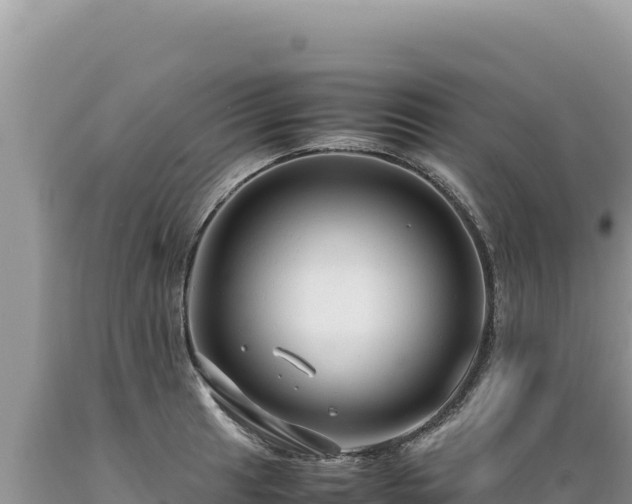 X0000089361041200706221156