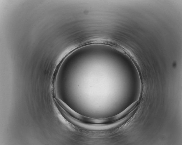 X0000089361042200706221156