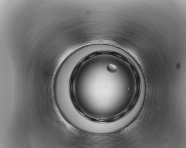X0000089361046200706221156