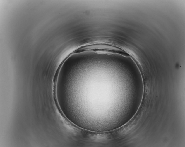 X0000089361047200706221156