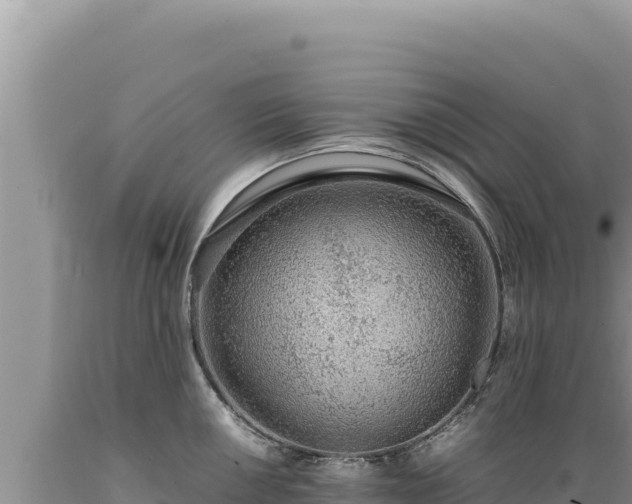 X0000089361050200706221156