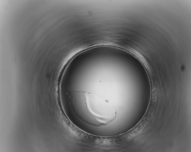 X0000089361051200706221156