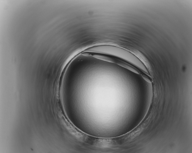 X0000089361052200706221156