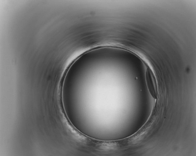 X0000089361053200706221156