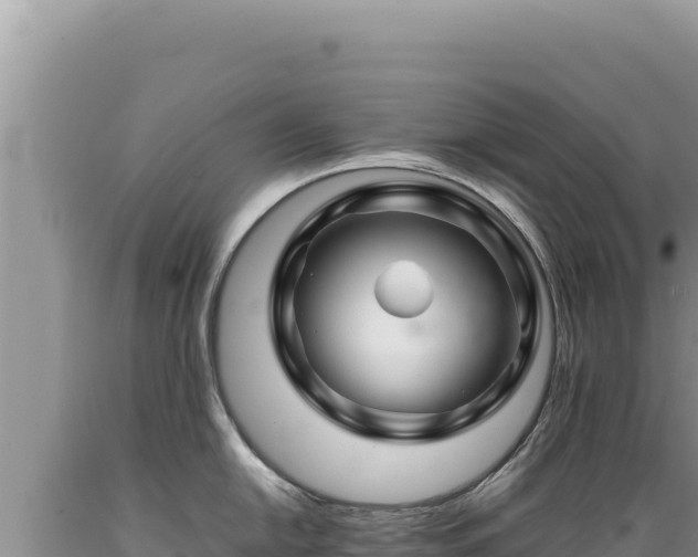 X0000089361054200706221156