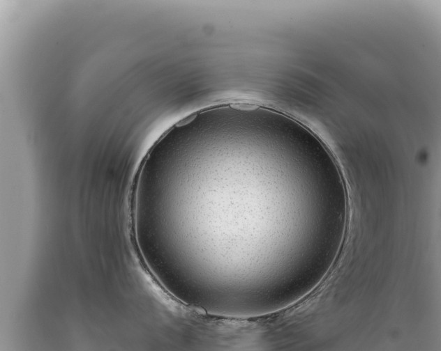 X0000089361056200706221156