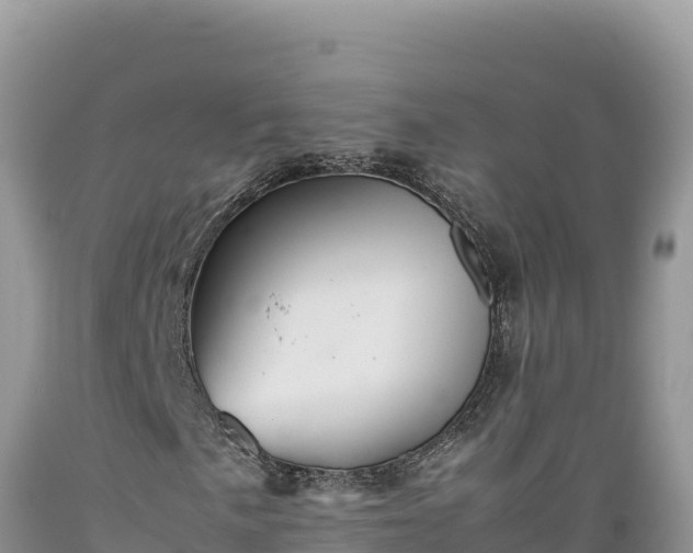 X0000089361057200706221155