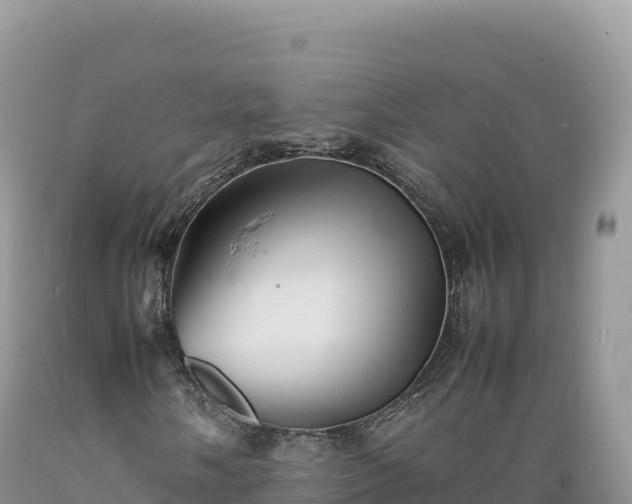 X0000089361058200706221155