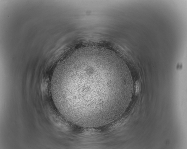 X0000089361059200706221155
