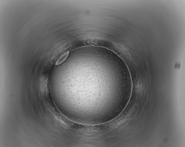 X0000089361060200706221155
