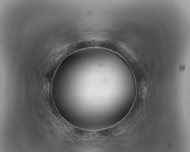 X0000089361061200706221155