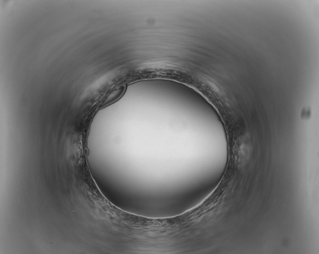 X0000089361062200706221155