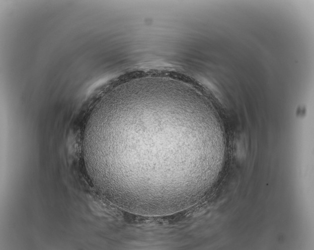 X0000089361063200706221155