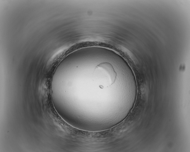 X0000089361064200706221155