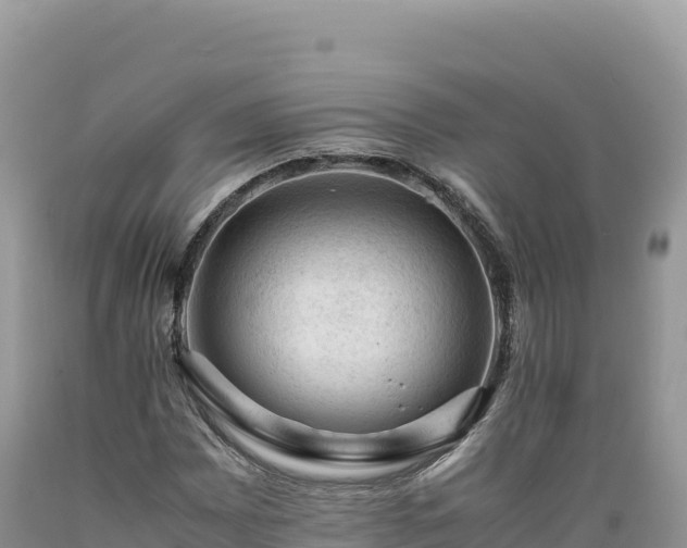 X0000089361065200706221155