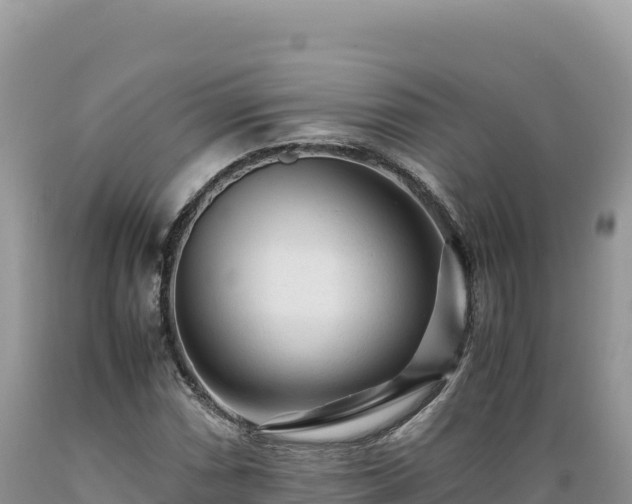 X0000089361066200706221155