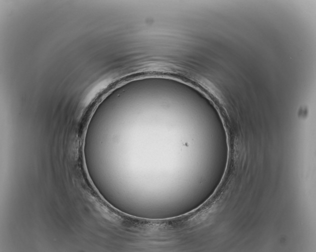 X0000089361067200706221155