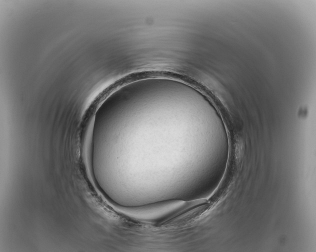 X0000089361069200706221155