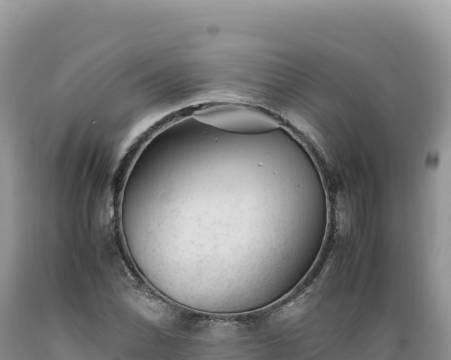 X0000089361070200706221155