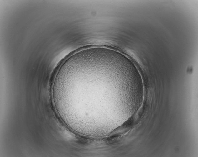 X0000089361071200706221155
