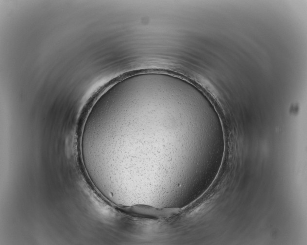 X0000089361072200706221155
