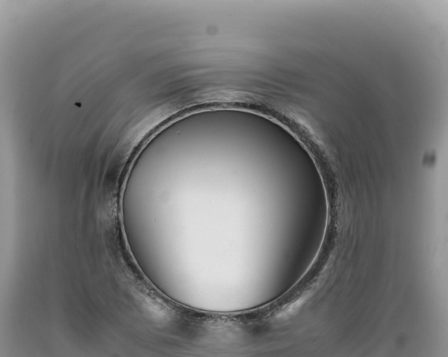 X0000089361073200706221155