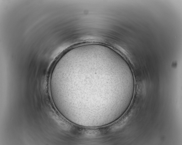 X0000089361074200706221155
