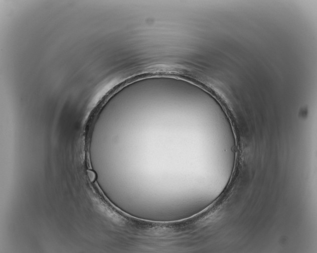 X0000089361075200706221155