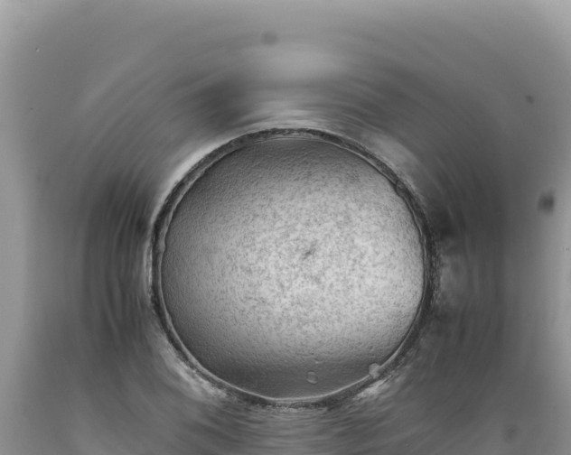 X0000089361076200706221155