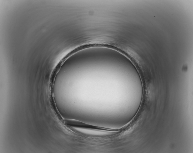 X0000089361077200706221155