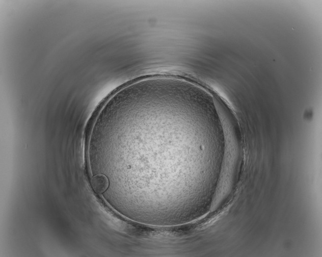 X0000089361079200706221155