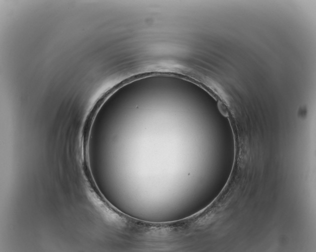 X0000089361080200706221155