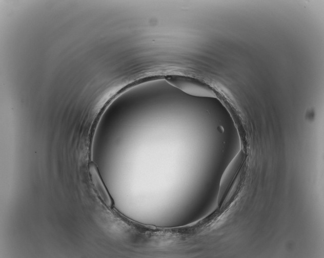 X0000089361081200706221155