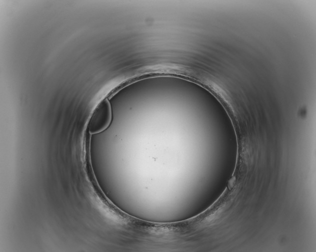 X0000089361082200706221155
