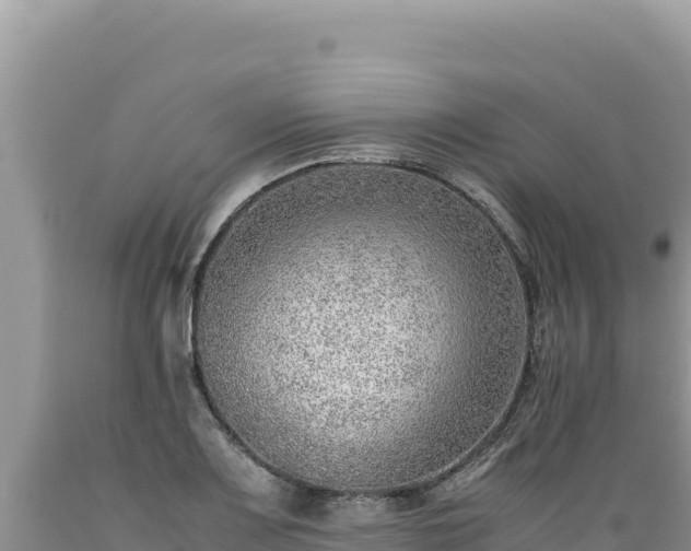 X0000089361083200706221155