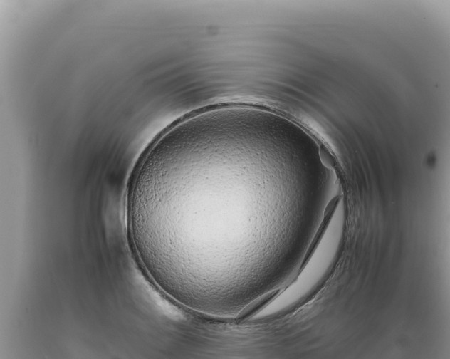 X0000089361084200706221155