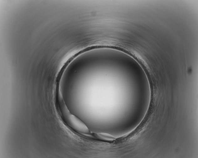 X0000089361085200706221155