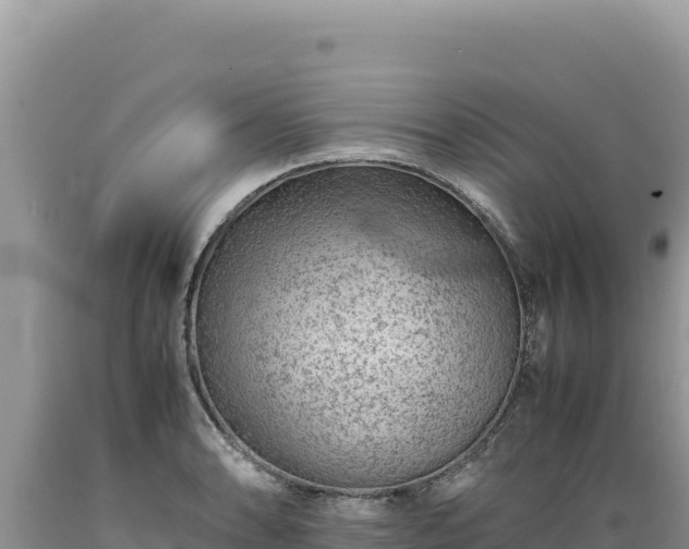 X0000089361086200706221155