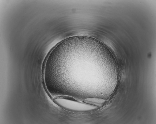 X0000089361087200706221155