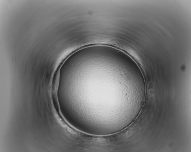 X0000089361088200706221155