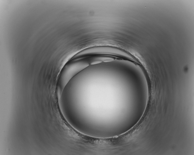 X0000089361089200706221155