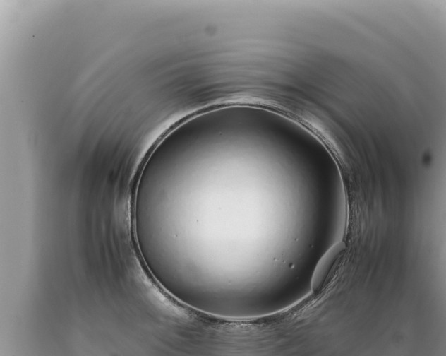 X0000089361092200706221155