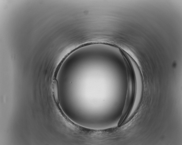 X0000089361093200706221155