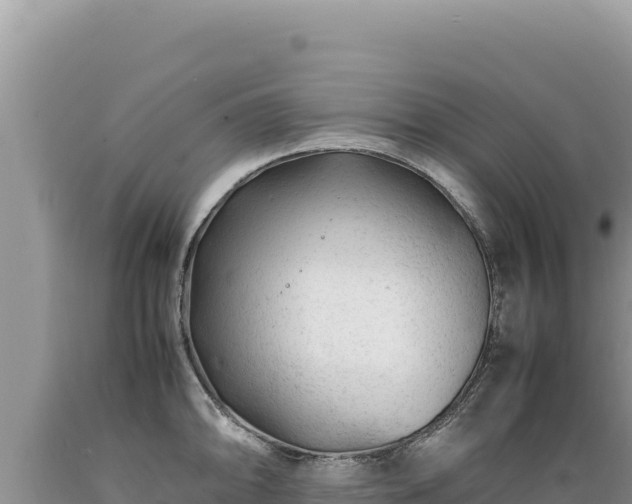X0000089361094200706221155