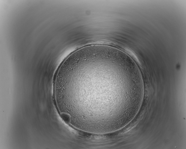 X0000089361095200706221155