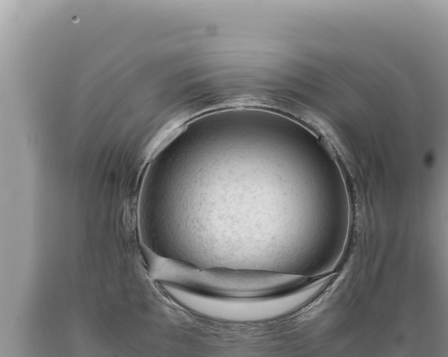 X0000089361097200706221155